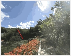  2025Ÿ��21788  ����