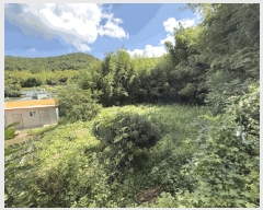  2025Ÿ��21788  ����