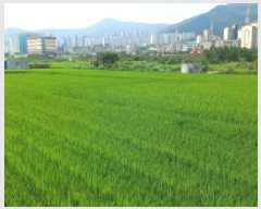  2025Ÿ��21788  ����