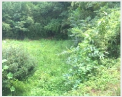  2025Ÿ��21788  ����