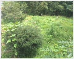  2025Ÿ��21788  ����