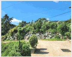  2025Ÿ��21828 �泲 ������ �д��� ��и� ��94-4      ����(�Ӿ�)���