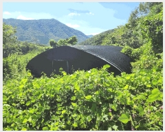  2025Ÿ��21828 �泲 ������ �д��� ��и� ��94-4      ����(�Ӿ�)���