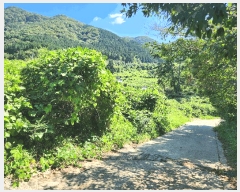  2025Ÿ��21828 �泲 ������ �д��� ��и� ��94-4      ����(�Ӿ�)���