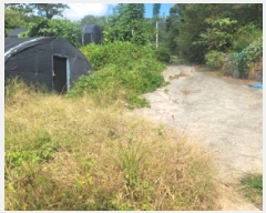  2025Ÿ��21828 �泲 ������ �д��� ��и� ��94-4      ����(�Ӿ�)���