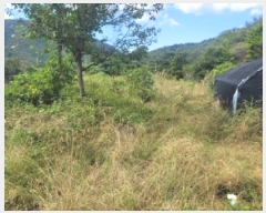  2025Ÿ��21828 �泲 ������ �д��� ��и� ��94-4      ����(�Ӿ�)���