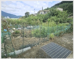  2025Ÿ��21910 �泲 ������ �Ͽ�� �������� 440      ����(����)���