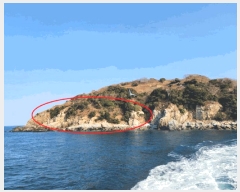  2025Ÿ��299 �泲 �뿵�� �ѻ�� ���׸� ��56-1      ����(�Ӿ�)���