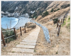  2025Ÿ��299 �泲 �뿵�� �ѻ�� ���׸� ��56-1      ����(�Ӿ�)���