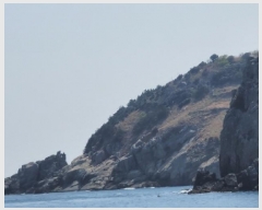  2025Ÿ��299 �泲 �뿵�� �ѻ�� ���׸� ��56-1      ����(�Ӿ�)���