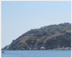  2025Ÿ��299 �泲 �뿵�� �ѻ�� ���׸� ��56-1      ����(�Ӿ�)���