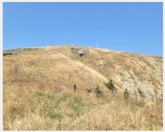  2025Ÿ��299 �泲 �뿵�� �ѻ�� ���׸� ��56-1      ����(�Ӿ�)���