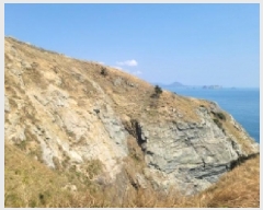  2025Ÿ��299 �泲 �뿵�� �ѻ�� ���׸� ��56-1      ����(�Ӿ�)���