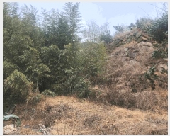  2025Ÿ��305  ������