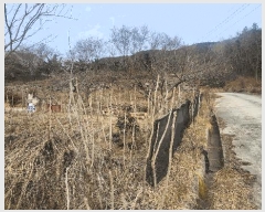  2025Ÿ��305  ������