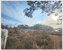  2025Ÿ��369 �泲 �뿵�� �볲�� ���� 375      ����(��1)���