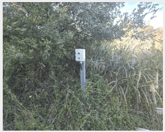  2025Ÿ��369 �泲 �뿵�� �볲�� ���� 375      ����(��1)���