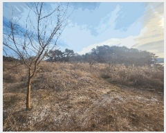  2025Ÿ��369 �泲 �뿵�� �볲�� ���� 375      ����(��1)���