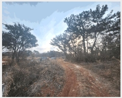  2025Ÿ��369 �泲 �뿵�� �볲�� ���� 375      ����(��1)���