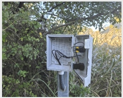  2025Ÿ��369 �泲 �뿵�� �볲�� ���� 375      ����(��1)���