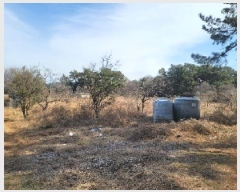  2025Ÿ��369 �泲 �뿵�� �볲�� ���� 375      ����(��1)���