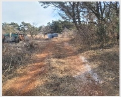  2025Ÿ��369 �泲 �뿵�� �볲�� ���� 375      ����(��1)���