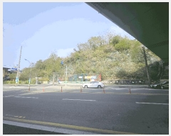  2025Ÿ377 泲    493-1      (Ӿ)