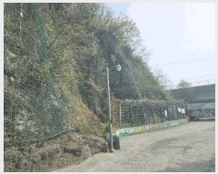  2025Ÿ377 泲    493-1      (Ӿ)