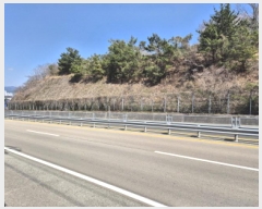  2025Ÿ377 泲    493-1      (Ӿ)