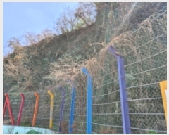  2025Ÿ377 泲    493-1      (Ӿ)