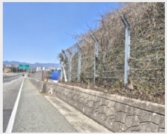  2025Ÿ377 泲    493-1      (Ӿ)