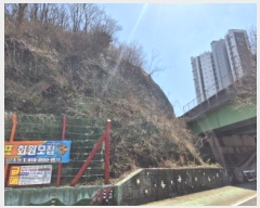  2025Ÿ377 泲    493-1      (Ӿ)