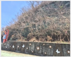  2025Ÿ377 泲    493-1      (Ӿ)