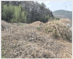  2025Ÿ419 泲  ̸  99      ()