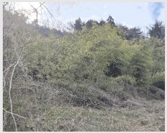  2025Ÿ419 泲  ̸  99      ()