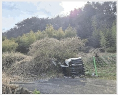  2025Ÿ419 泲  ̸  99      ()