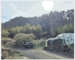  2025Ÿ419 泲  ̸  99      ()