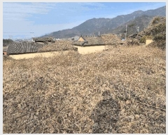  2025Ÿ419 泲  ̸  99      ()