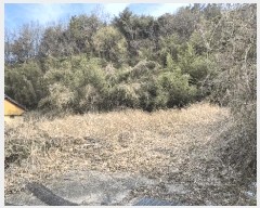  2025Ÿ419 泲  ̸  99      ()