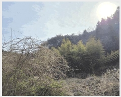  2025Ÿ419 泲  ̸  99      ()