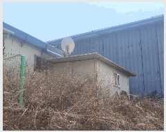  2025Ÿ426 泲 뿵 볲  372      