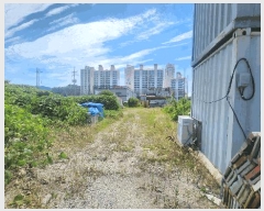  2025Ÿ��451  �������