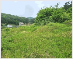  2025Ÿ��466 �泲 �뿵�� ������ ������ 75      ����(����)���