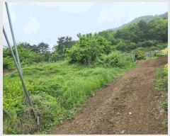  2025Ÿ��466 �泲 �뿵�� ������ ������ 75      ����(����)���