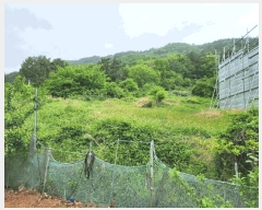  2025Ÿ��466 �泲 �뿵�� ������ ������ 75      ����(����)���