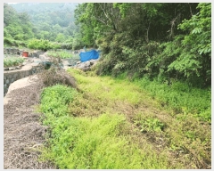  2025Ÿ��466 �泲 �뿵�� ������ ������ 75      ����(����)���