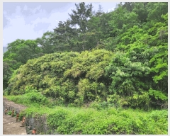  2025Ÿ��466 �泲 �뿵�� ������ ������ 75      ����(����)���