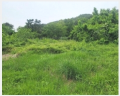  2025Ÿ��466 �泲 �뿵�� ������ ������ 75      ����(����)���