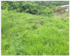  2025Ÿ��466 �泲 �뿵�� ������ ������ 75      ����(����)���