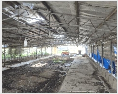  2025Ÿ��498  ���(�󰡽ü�)���